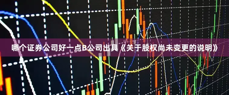哪个证券公司好一点B公司出具《关于股权尚未变更的说明》