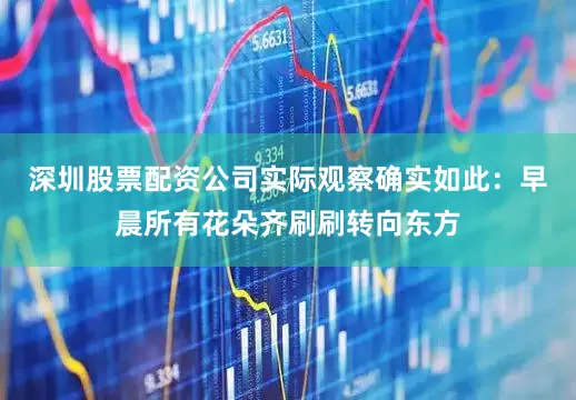 深圳股票配资公司实际观察确实如此：早晨所有花朵齐刷刷转向东方